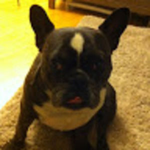 Meet your Posher, Julie